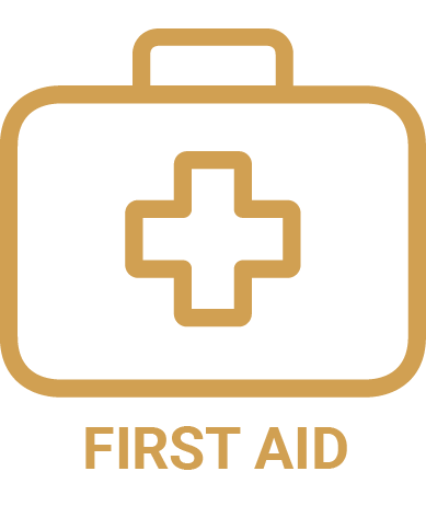 first aid kit (1)