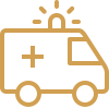 icons8 ambulance 100